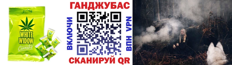 Купить закладки  Навашино  Cannafood конопля 