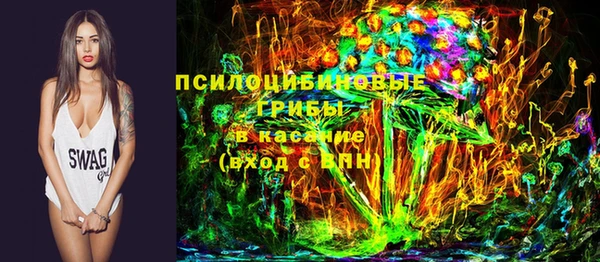 тгк Алзамай