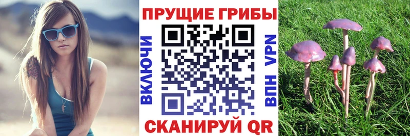Галлюциногенные грибы мицелий  Купить  Навашино 